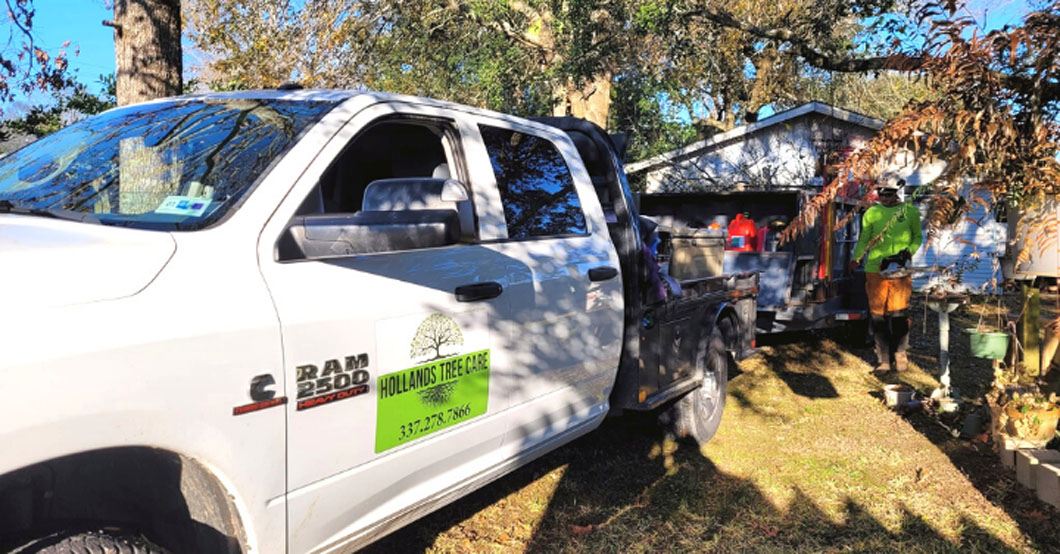 Residential tree service in Lafayette, LA – Expert tree care for homes